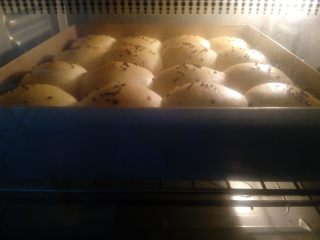 8、奶香蜜豆包,放入预热好的烤箱中,以180度烤20分钟左右。