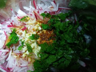 13、香菜萝卜丝,浇在辣椒面上