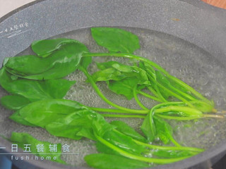 4、羊肉小水饺,菠菜热水中焯1分钟。