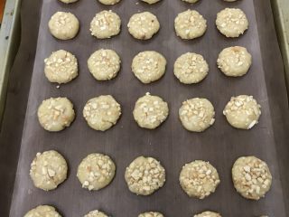 12、花生酥,用手团成大约15克左右一个，再滚上剩余的花生碎，放入烤盘