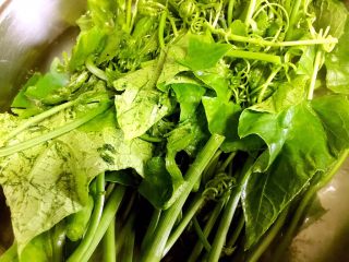 10、凉拌丝瓜尖,放入丝瓜尖稍煮一下