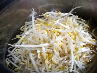 5、虫草花之油浸三鲜,豆芽焯水捞出