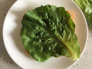 9、火腿三明治,生菜叶