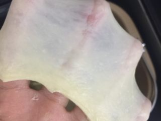 5、奥利奥牛奶卷,面包机开始揉面程序揉到图上的状态