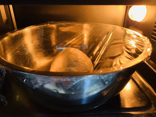 14、芒果披萨,面团放盆里，盖上保鲜膜，放烤箱发酵，夏天直接室温就可以，或者锅里水加热到40度左右发酵；