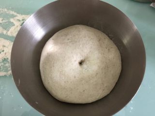 2、牛油果金枪鱼全麦面包,和成光滑面团后放入烤箱低温发酵至两倍大