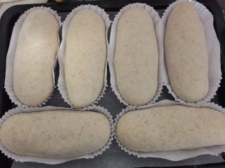 10、牛油果金枪鱼全麦面包,二次发酵完成，在表面撒上干粉