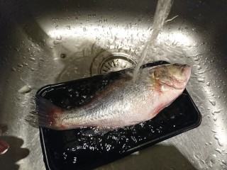 1、清蒸鱸魚,仔細清洗魚身，確認魚鱗、魚腮、魚內臟都清除。