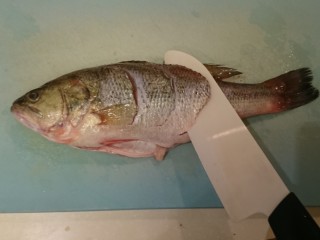 2、清蒸鱸魚,避開魚骨在魚身斜切3刀，上下都要切。