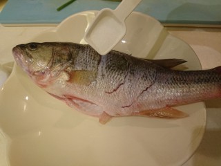 5、清蒸鱸魚,魚身抹鹽，全身都要！