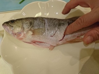 6、清蒸鱸魚,斜切口裡也要抹鹽，魚肚子也要。