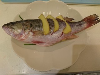 10、清蒸鱸魚,魚擺到蔥圈上。
