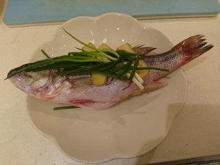 11、清蒸鱸魚,再放一把蔥圈。
