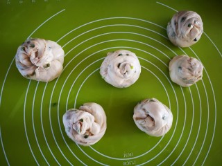 21、香葱千层饼,扭转后一端向下按压在揉面垫上(如图)。全部按压完成。