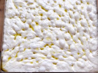 12、迷迭香佛卡夏(天然酵种),整形好后,在保鲜膜上均匀涂一层油覆盖住面团,以免揭开时面团黏在保鲜膜上。最后进行二次发酵。