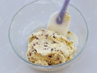 11、蔓越莓饼干,翻拌均匀成黏面团状态