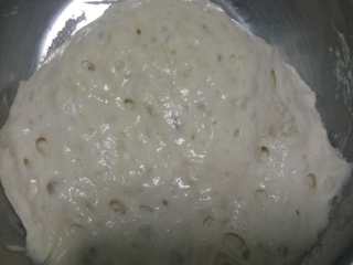 1、葱香肉松手撕包,提前准备好波兰种，此款配方加入了波兰种，味道和口感更好一些，如果来不及做，可以把波兰种的面粉和水还有酵母直接加入到主面团里面一起和面就可以。