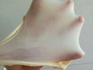 4、葱香肉松手撕包,两个程序结束后，面团肉揉到了图片中的薄膜状态，和面完毕。