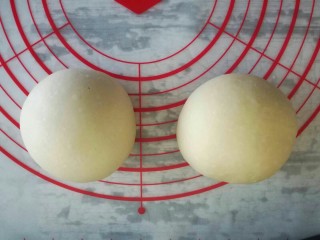 5、葱香肉松手撕包,把面团分成两份，轻轻排气后滚圆盖上保鲜膜醒发20分钟左右，此时我们可以准备配料。