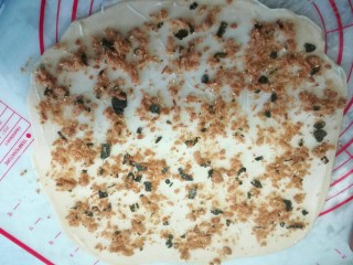 8、葱香肉松手撕包,然后在涂好的面片上面撒上适量的肉松。