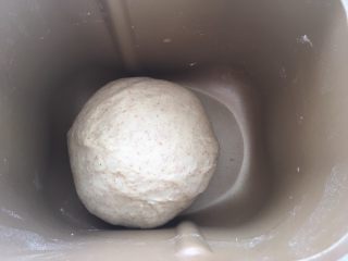 5、全麦吐司,之后将面团揉均匀，盖保鲜膜室温发酵至两倍大