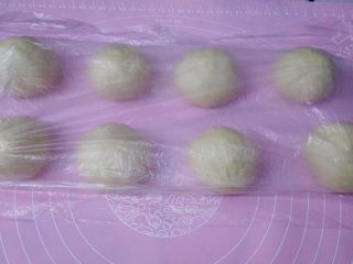 5、香葱芝士面包,面团平均分成8个，滚圆盖上保鲜膜松弛15分钟。