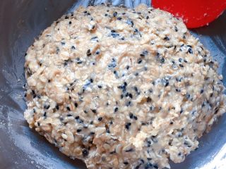 9、燕麦芝麻饼干,用硅胶铲翻拌均匀成燕麦芝麻团。