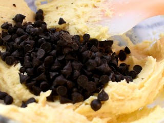 16、巧克力豆曲奇,将烘焙专用的巧克力豆倒进去