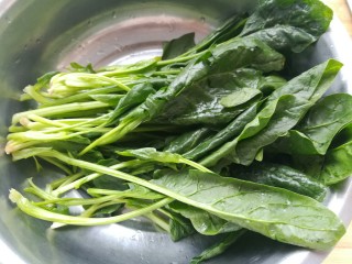 1、菠菜咸食,菠菜摘好洗净