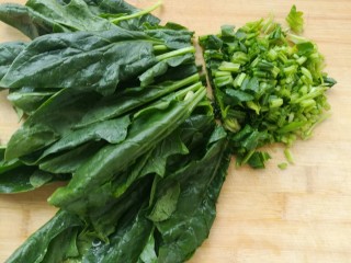 2、菠菜咸食,切成1cm左右的小块
