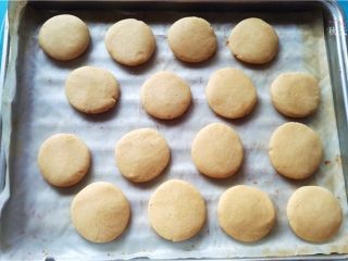 12、提拉米苏小饼干,取一小块,揉成圆压成小饼, 放在烤盘里;