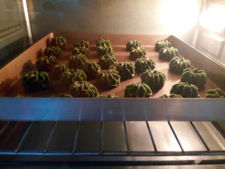 12、云朵抹茶曲奇,150°预热十分钟，烤盘放在烤网上，中层，125度，低温烘烤30-35分钟，具体烤自家烤箱温度调节