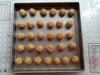 13、芝麻小酥饼,所有的面团沾上芝麻以后放到学厨的烤盘里