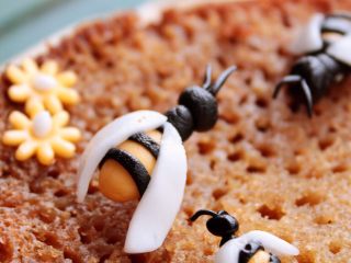 10、蜂巢蛋糕,出炉放凉后横向切开