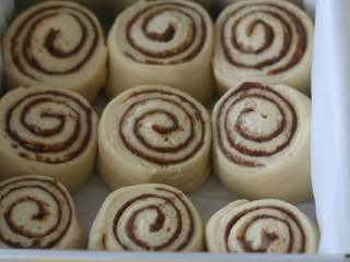 9、肉桂卷,烤箱中下层，180度，烤20分钟。