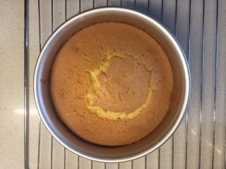 7、美味蛋糕,烤好后的蛋糕取出自然放凉，用脱模刀将蛋糕从模具内取出，利用蛋糕分离器将海绵蛋糕均匀的分成三部分后放到一边备用；恭喜你第一步海绵蛋糕体完成，蛋糕顶你可以当零食吃掉啦哈；