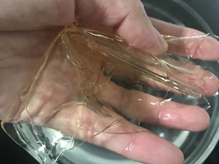 1、蓝莓酸奶慕斯,吉利丁片用冰水浸泡