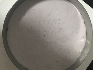 12、蓝莓酸奶慕斯,放入冰箱冷冻20分钟待其凝固