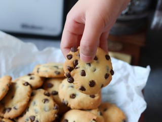 13、巧克力豆曲奇,小手伸过来了