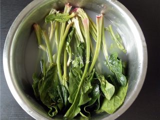 1、菠菜拌粉条,菠菜去掉老叶，老根，用淘米水（或淡盐水）浸泡片刻，洗净。 