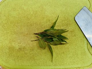 20、狂野番茄芝士薄底披萨,洗净去水份。