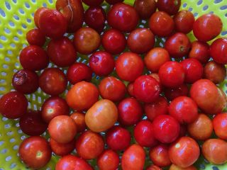 26、狂野番茄芝士薄底披萨,去叶洗净备用。装饰只用到3个啦。