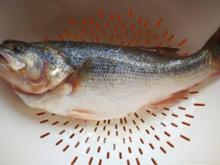 5、千张鲈鱼,鲈鱼活鱼让鱼贩帮忙宰杀去肠和鳃