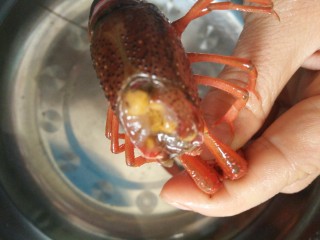 2、小龙虾新吃法~免烤箱薄饼披萨,我们捏住他的钳，然后用剪刀剪去它的胃囊