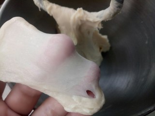 4、热狗面包,揉到可以拉出这样的膜。