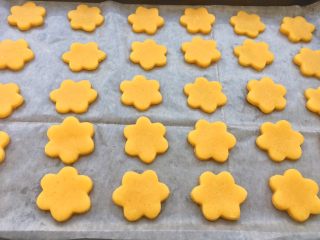 14、蛋黄小饼干,烤盘垫上油纸,饼干面团整齐摆放在烤盘上。