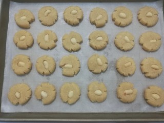 7、花生小酥饼,依次做好所有的小酥饼,整齐的摆入烤盘中;