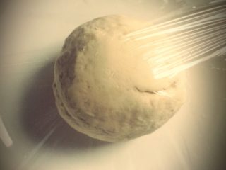 1、菜蔬披萨,面粉加酵母粉揉成团，发酵2个小时。