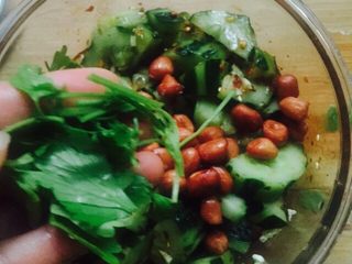 25、凉拌菜～拍黄瓜,最后放入香菜搅拌均匀放入冰箱冷藏1小时