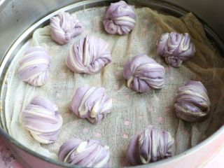 12、紫薯花卷,蒸锅内铺上纱布，花卷均匀的摆放在蒸锅里，留出适当的空隙；